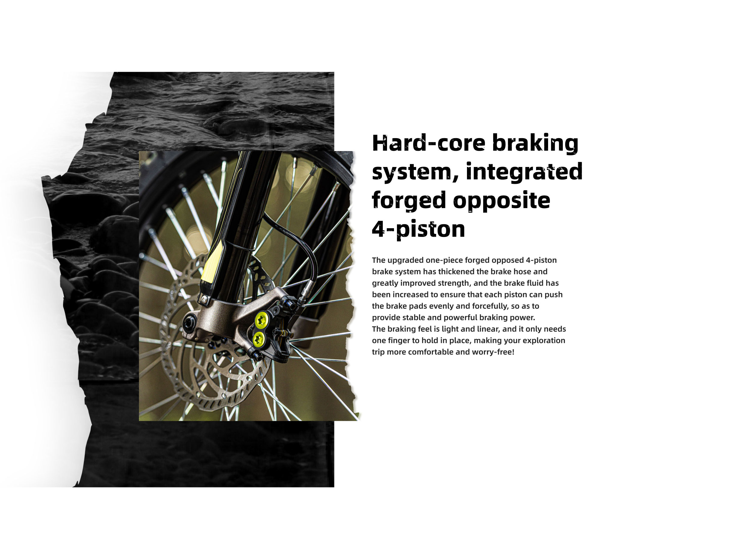 Light Bee L Image 20